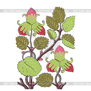 Colorful botanical strawberry bush - vector clipart