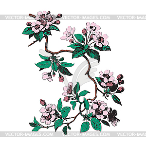Colorful Botanical branches with leaves and - royalty-free vector clipart