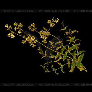 Colorful botanical branches with flowers , he - vector image