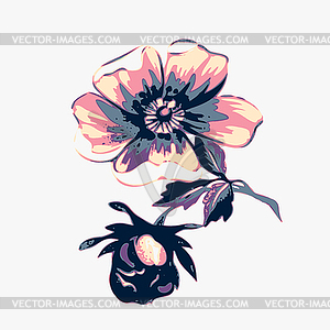 Branch with flowers roses . Vintage grunge - vector image