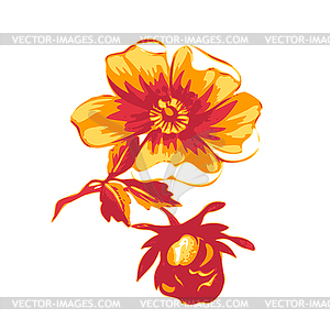 Branch with flowers roses . Vintage grunge - vector clipart