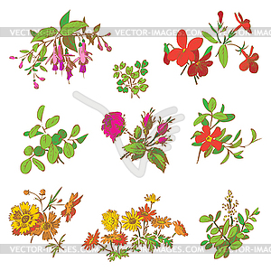Meadow flower and leaf set , floral dood - vector image