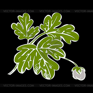 Floral bush retro , decorat - vector image