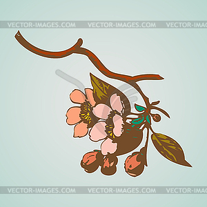 Cherry branches with flowers, sakura - vector clipart