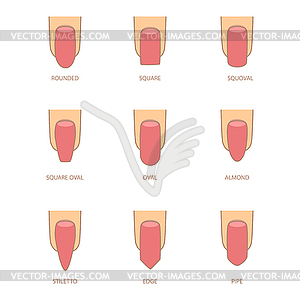 Набор различных форм ногтей. иконки формы ногтей - векторное изображение клипарта