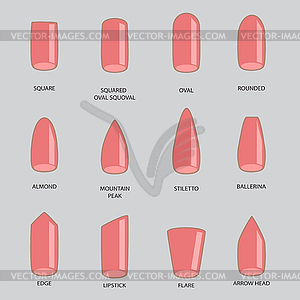 Набор различных форм ногтей на сером. Shap ногтей - векторизованное изображение