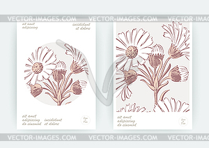 Card with flowers Calendula, Chrysanthemum, - color vector clipart