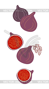 Figs, design colorful . Falling figs - vector clip art