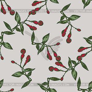 Drawing buds flowers Fuchsia. Beautiful floral - vector clipart