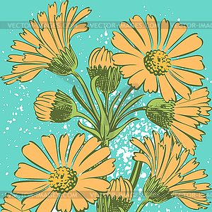 Attractively arranged bunch of flowers.Drawn - vector clipart