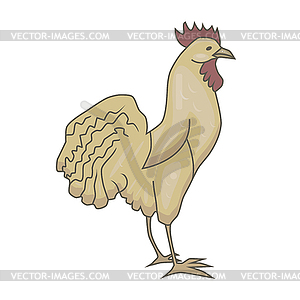 Cock - vector clipart