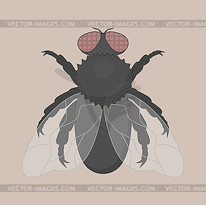 Fly - vector clip art