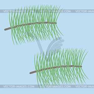 Pine Needles - vector image