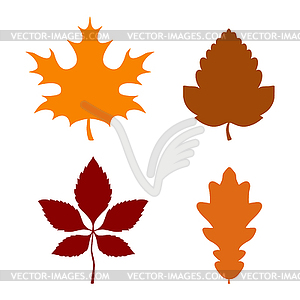 Autumn leaves - vector clip art