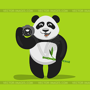 Funny panda holding camera - vector image