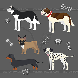 Set of funny dogs - vector clip art