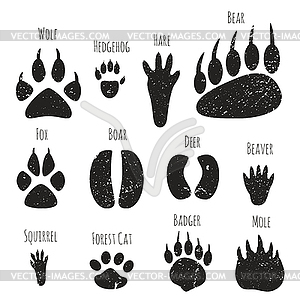Set of forest animals footprints - vector clip art