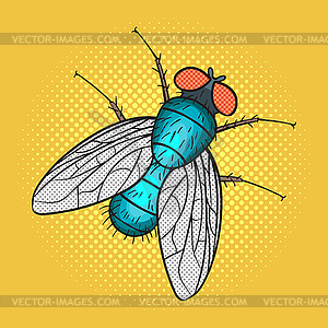 Pop art fly - vector clipart