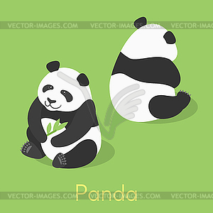 Isometric panda - vector clipart