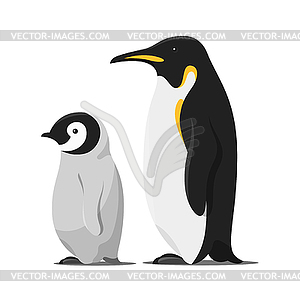 Cartoon style penguins - vector image