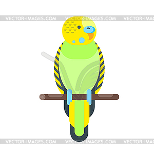 Flat style budgerigar - vector clipart