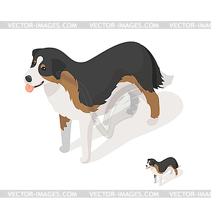 Isometric 3d sheep dog - vector clipart