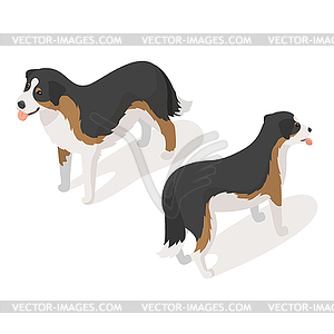 Isometric 3d sheep dog - vector image