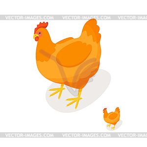 Isometric 3d chicken - vector clipart