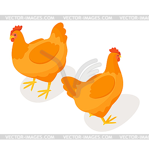 Isometric 3d chicken - vector image