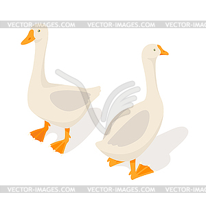 Isometric 3d farm goose - stock vector clipart