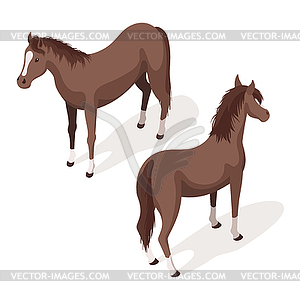 Изометрическая 3d коричневые щавель лошади - векторный дизайн
