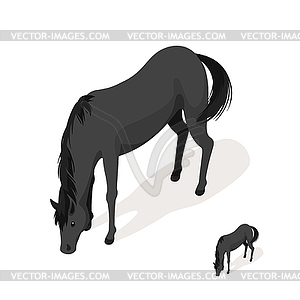 Isometric 3d black horse - vector clipart
