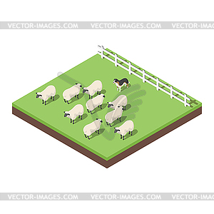 Isometric 3d farm animals - vector image