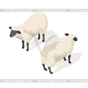 Isometric 3d sheep - royalty-free vector image