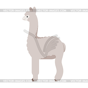 Flat style lama - royalty-free vector clipart