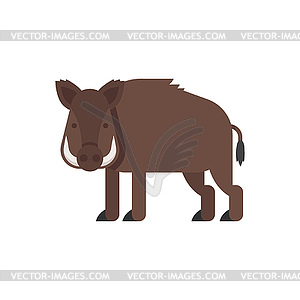 Flat style boar - vector image