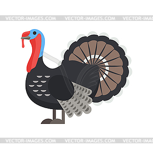 Flat style turkey - vector clipart