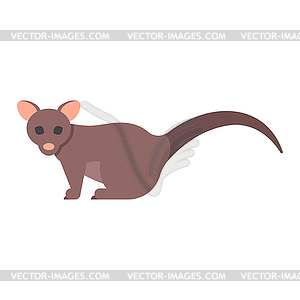 Flat style brushtail possum - vector clipart