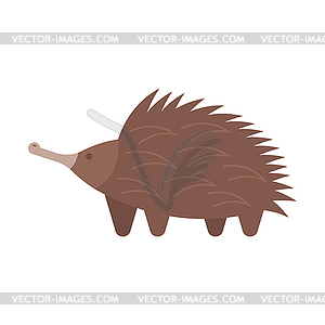 Flat style echidna - vector clipart