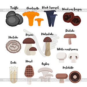 Flat style set of mushrooms - stock vector clipart