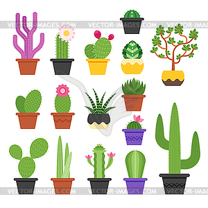 Flat colorful set of various cactus - vector image