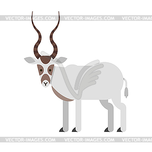 Flat style desert Addax antelope - vector clip art