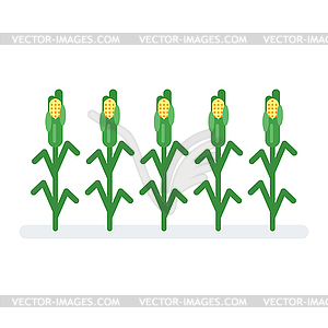 Flat style corn - vector image