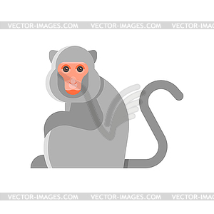 Flat style monkey - vector clipart