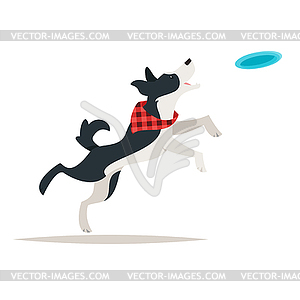 Border collie dog running Frisbee - vector image