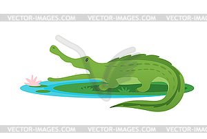 Green crocodile - vector clipart