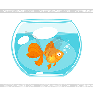 Animal pet - gold fish - vector image