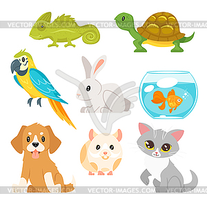 Set of home animal pet - vector image