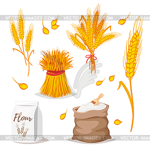 Зерновые - пшеница - клипарт в векторе