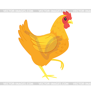 Farm animal - chicken - vector image